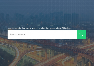 Screenshot of search.neustar Neustar .brand website showing Neustar search engine input bar